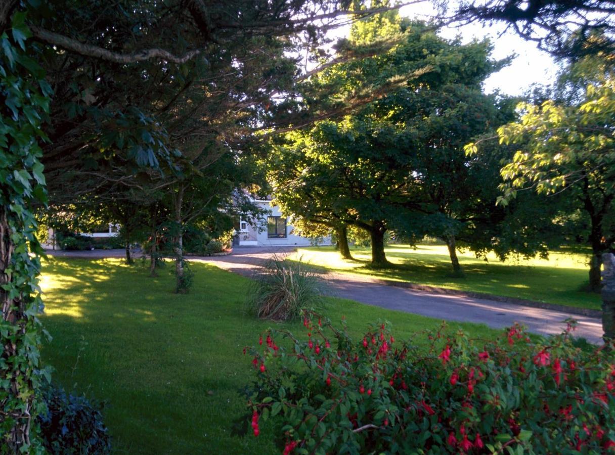 Spacious Contemporary Chalet Type Apartment. Galway Luaran gambar