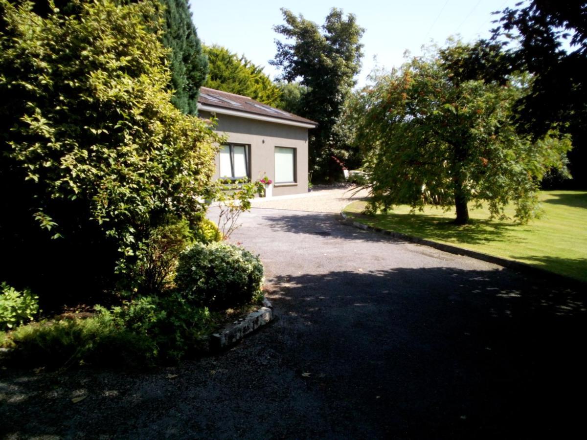 Spacious Contemporary Chalet Type Apartment. Galway Luaran gambar