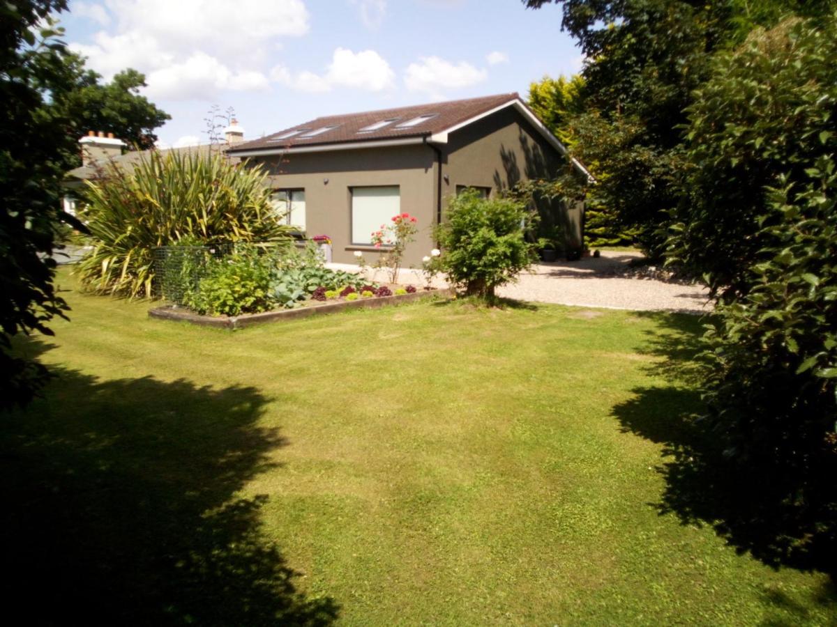 Spacious Contemporary Chalet Type Apartment. Galway Luaran gambar