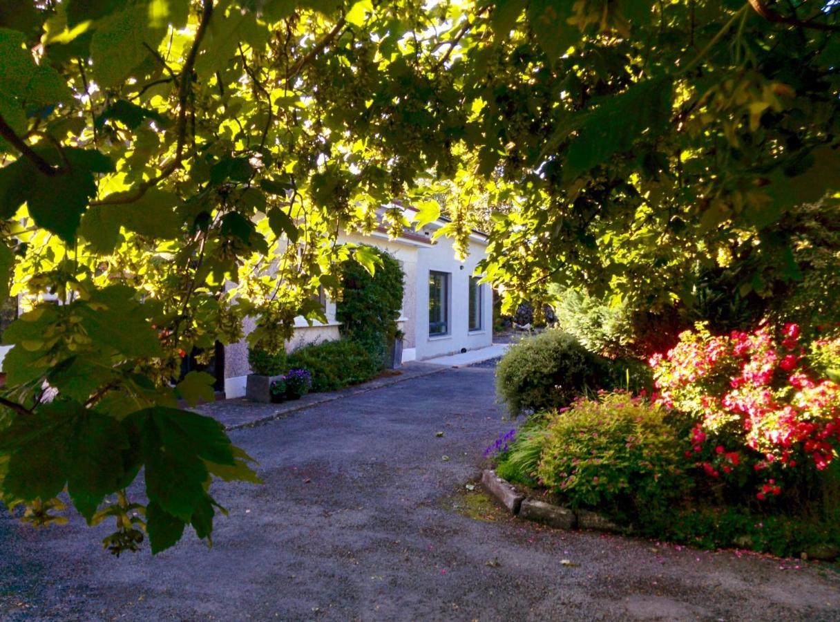Spacious Contemporary Chalet Type Apartment. Galway Luaran gambar