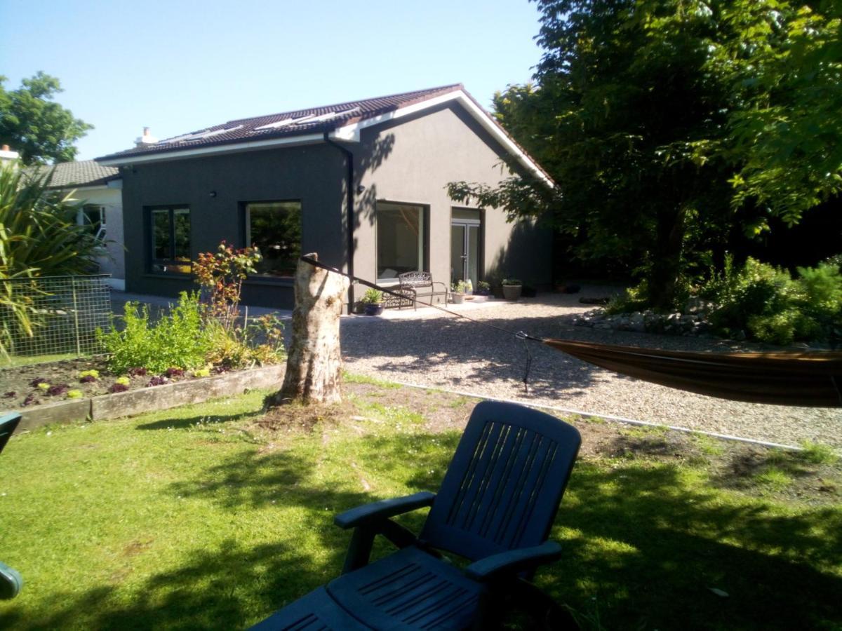 Spacious Contemporary Chalet Type Apartment. Galway Luaran gambar