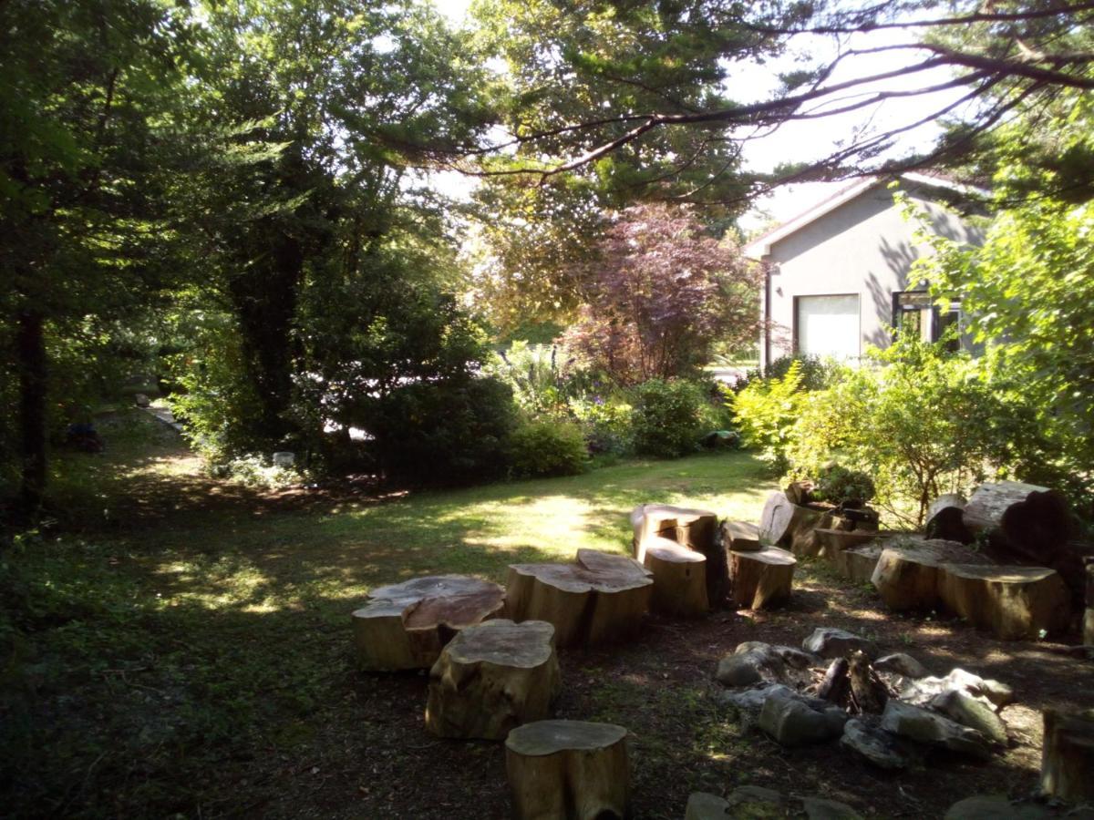 Spacious Contemporary Chalet Type Apartment. Galway Luaran gambar