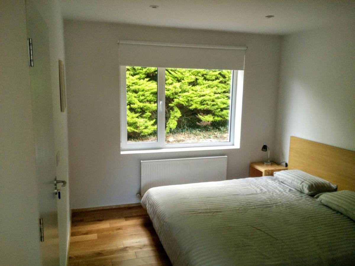 Spacious Contemporary Chalet Type Apartment. Galway Luaran gambar