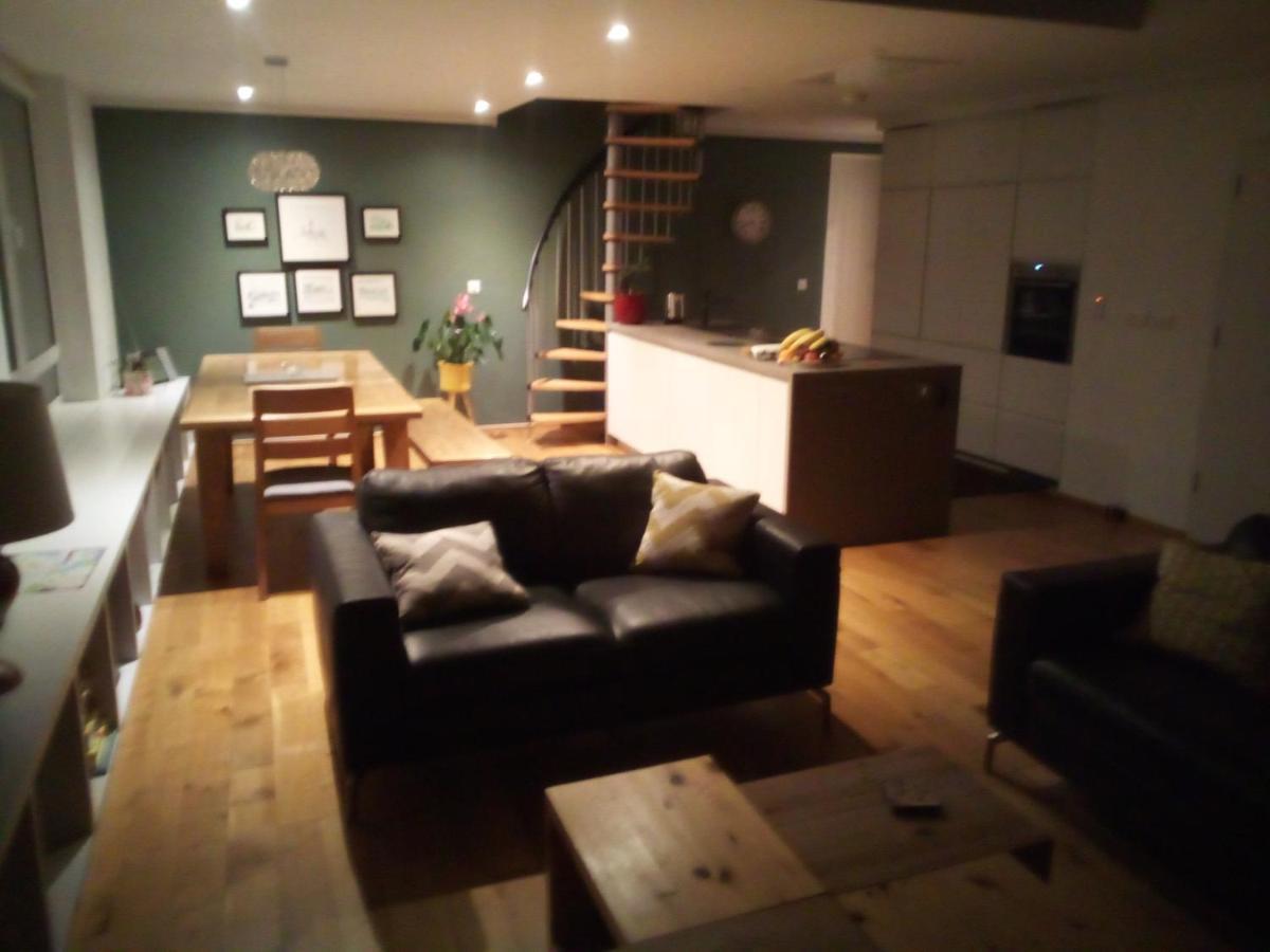 Spacious Contemporary Chalet Type Apartment. Galway Luaran gambar