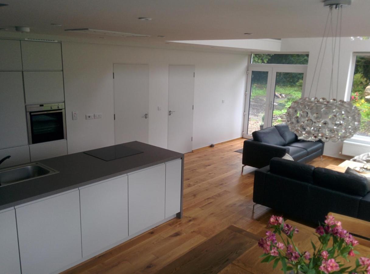Spacious Contemporary Chalet Type Apartment. Galway Luaran gambar